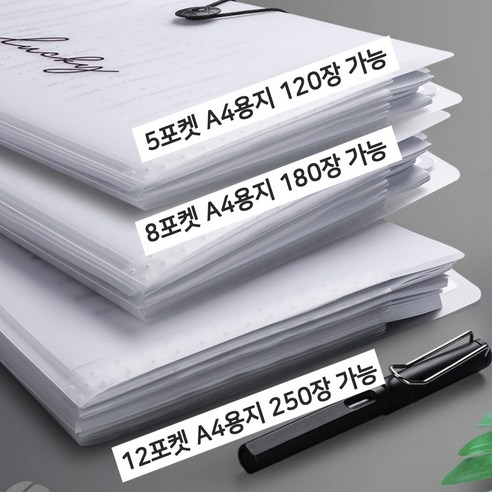 Pyunri 3권 아코디언 투명파일 12포켓(12분류) 파일홀더 멀티파일 서류정리 화일케이스